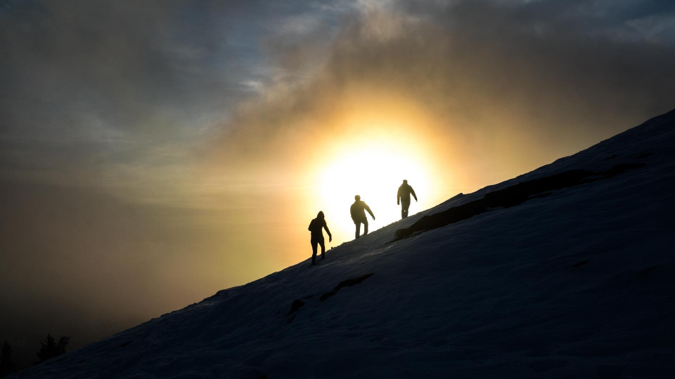 Antarktis-expeditionshafter Sonntagsausflug