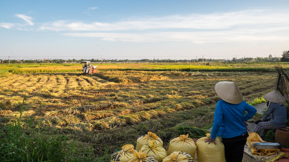 Letzter Stop: Hội An