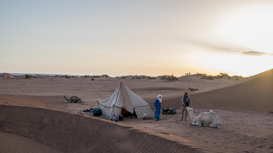 Morgens halb zehn in....