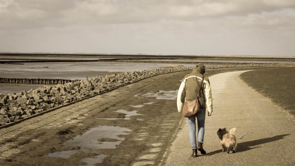 Nach dem Orkan Niklas