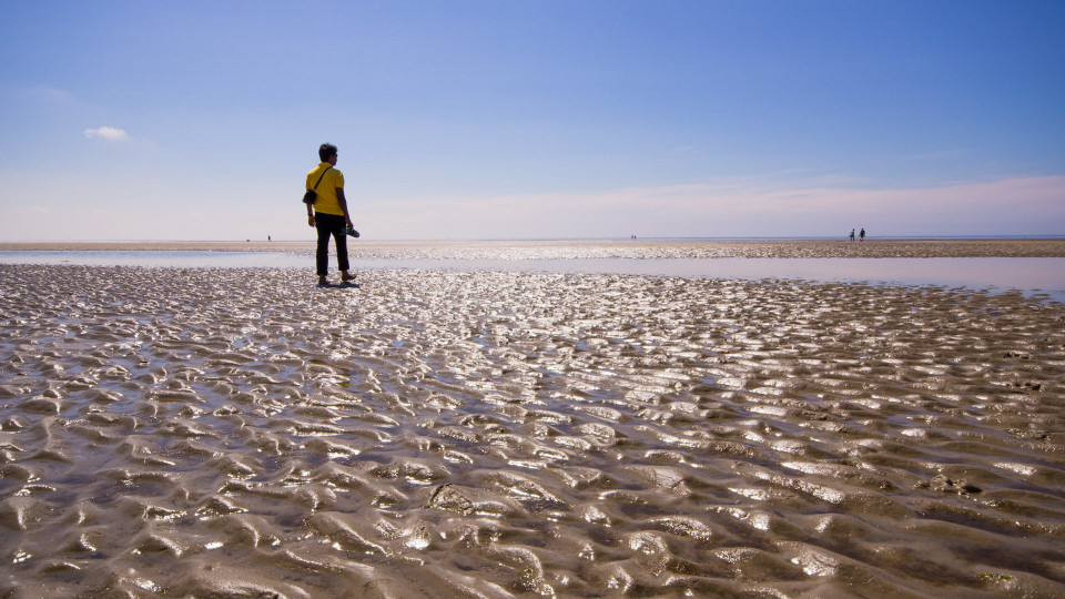 Nationalpark Wattenmeer...mit Inder