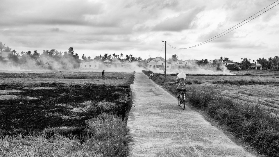 Reisernte: Beißender Qualm