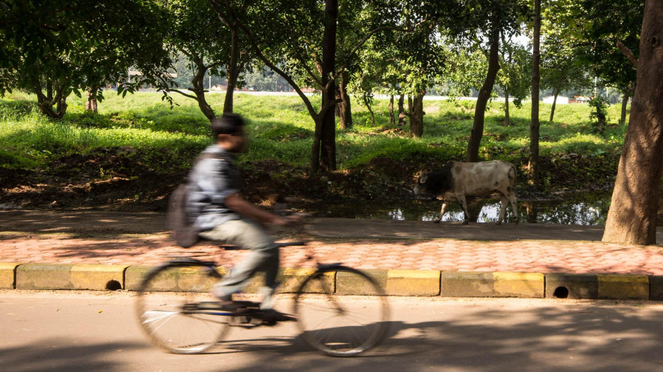 So kann Indien aussehen