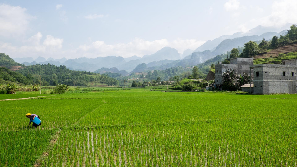The Loop: Etappe 2 - Vor dem Massenansturm