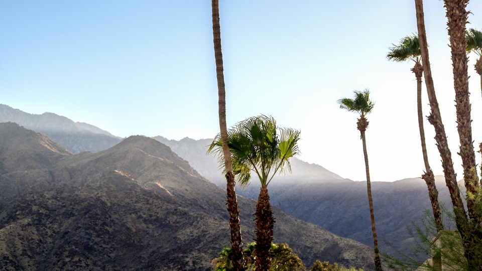 vorletzter Halt: Palm Springs
