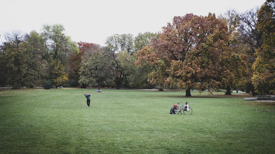 You can call me tiger (2)