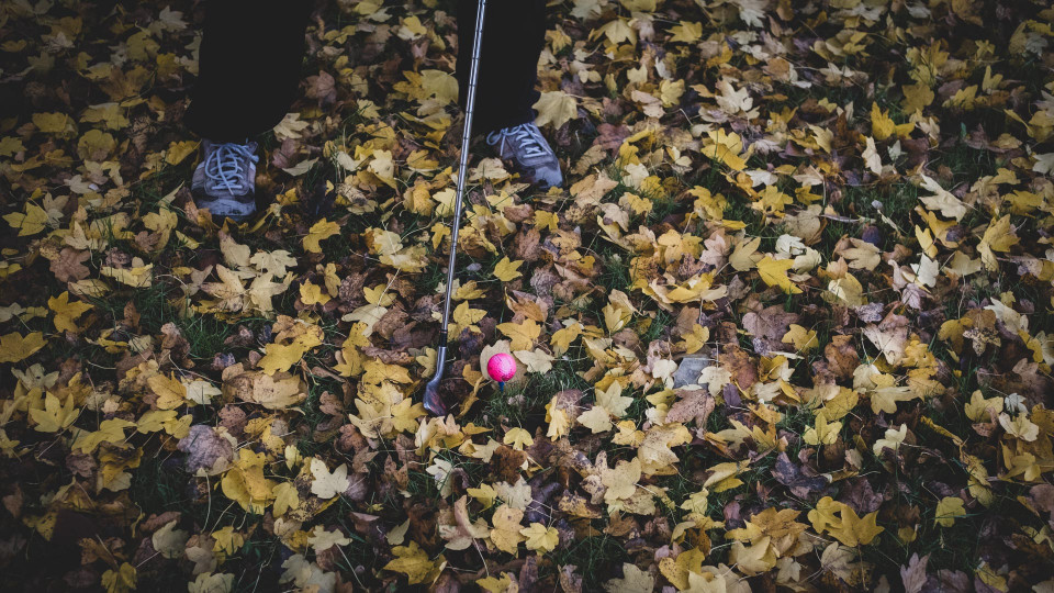 You can call me tiger (3)